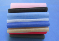 元氏涤纶(PET)无纺布是什么